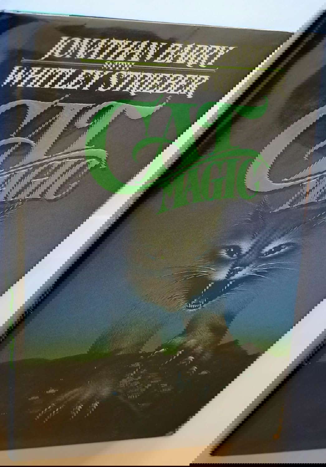 Cat Magic poster