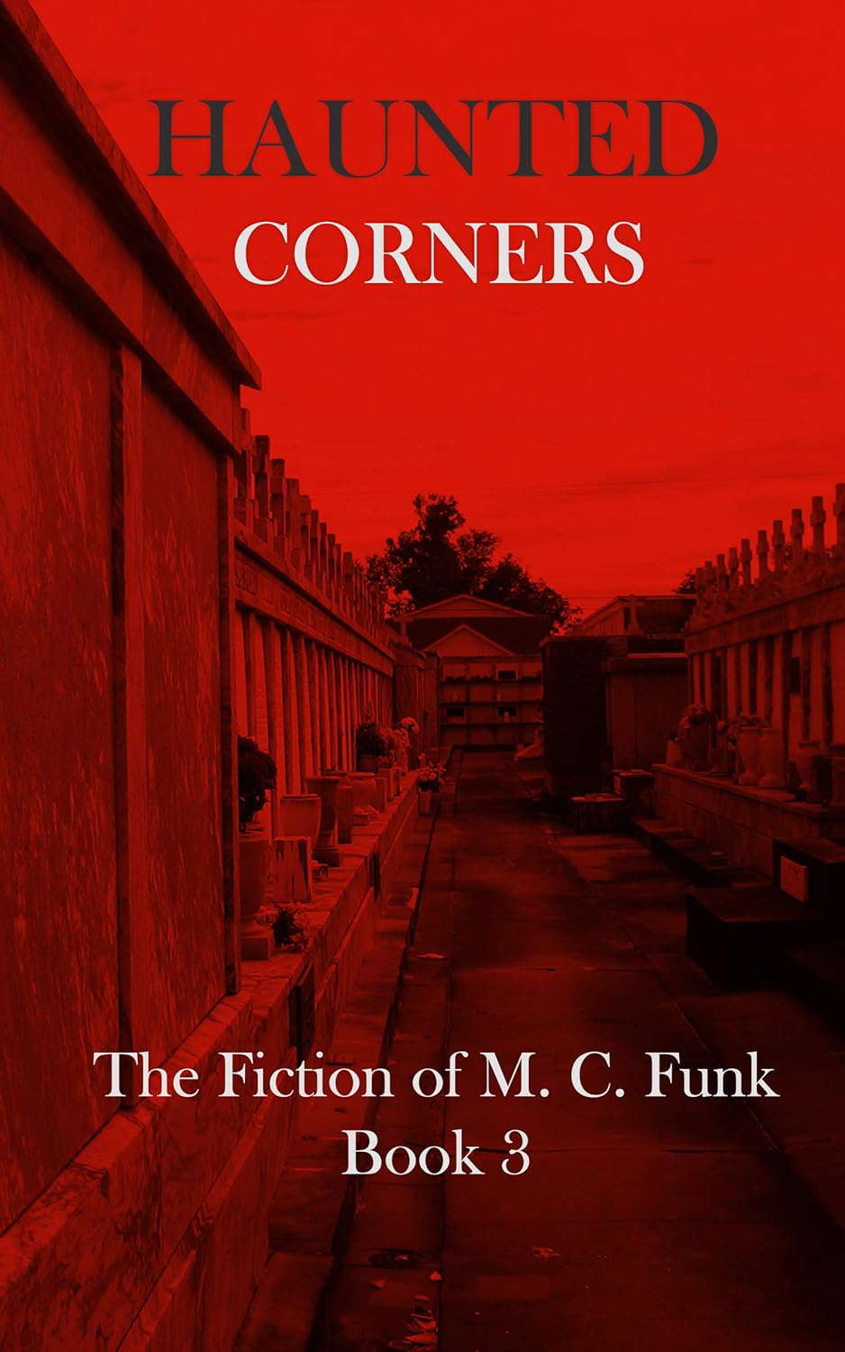 Haunted Corners: The Fiction of M. C. Funk Book 3 poster
