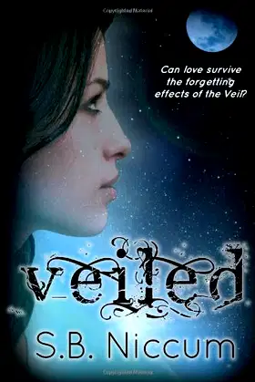 Veiled poster