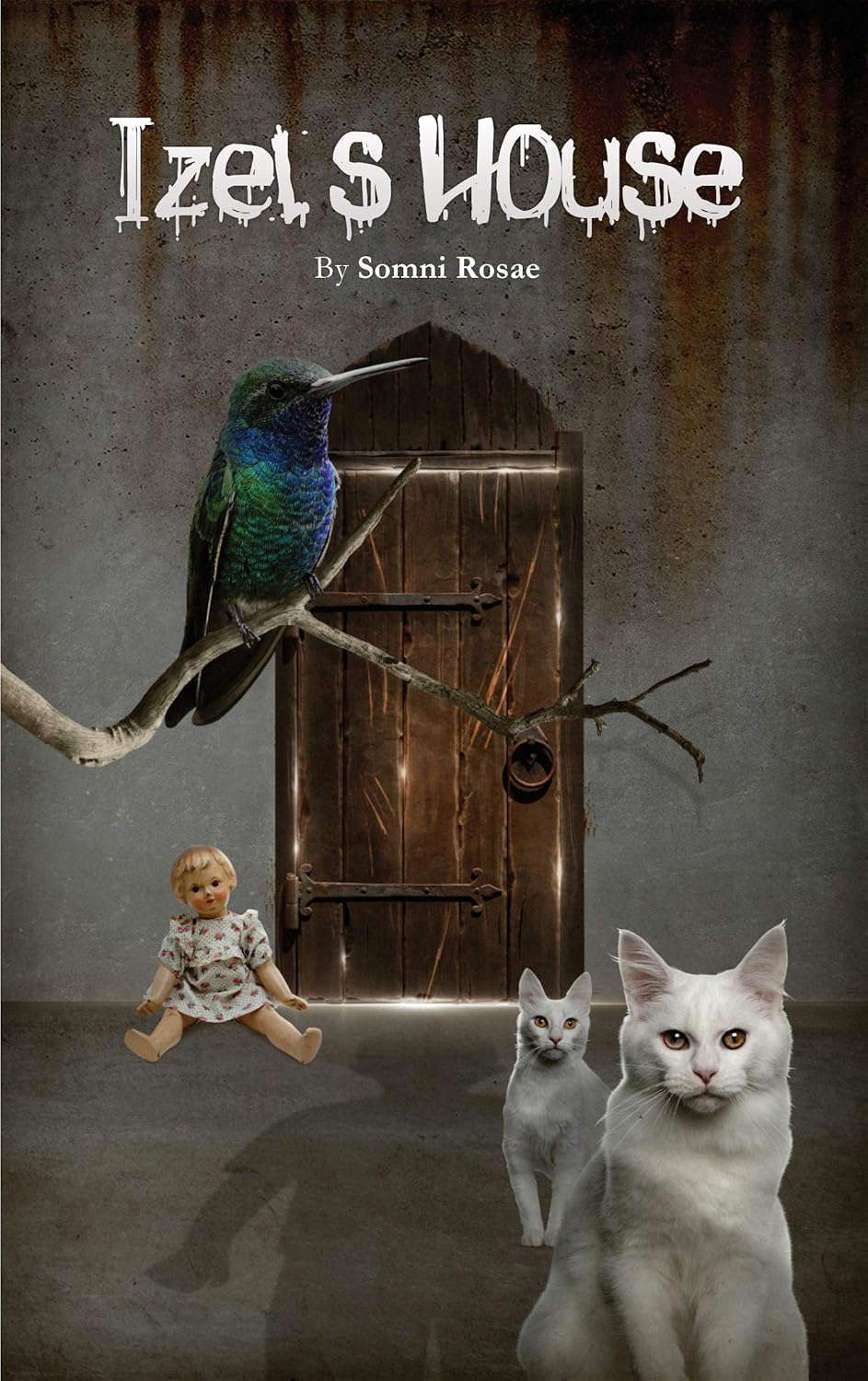 Izel's House poster