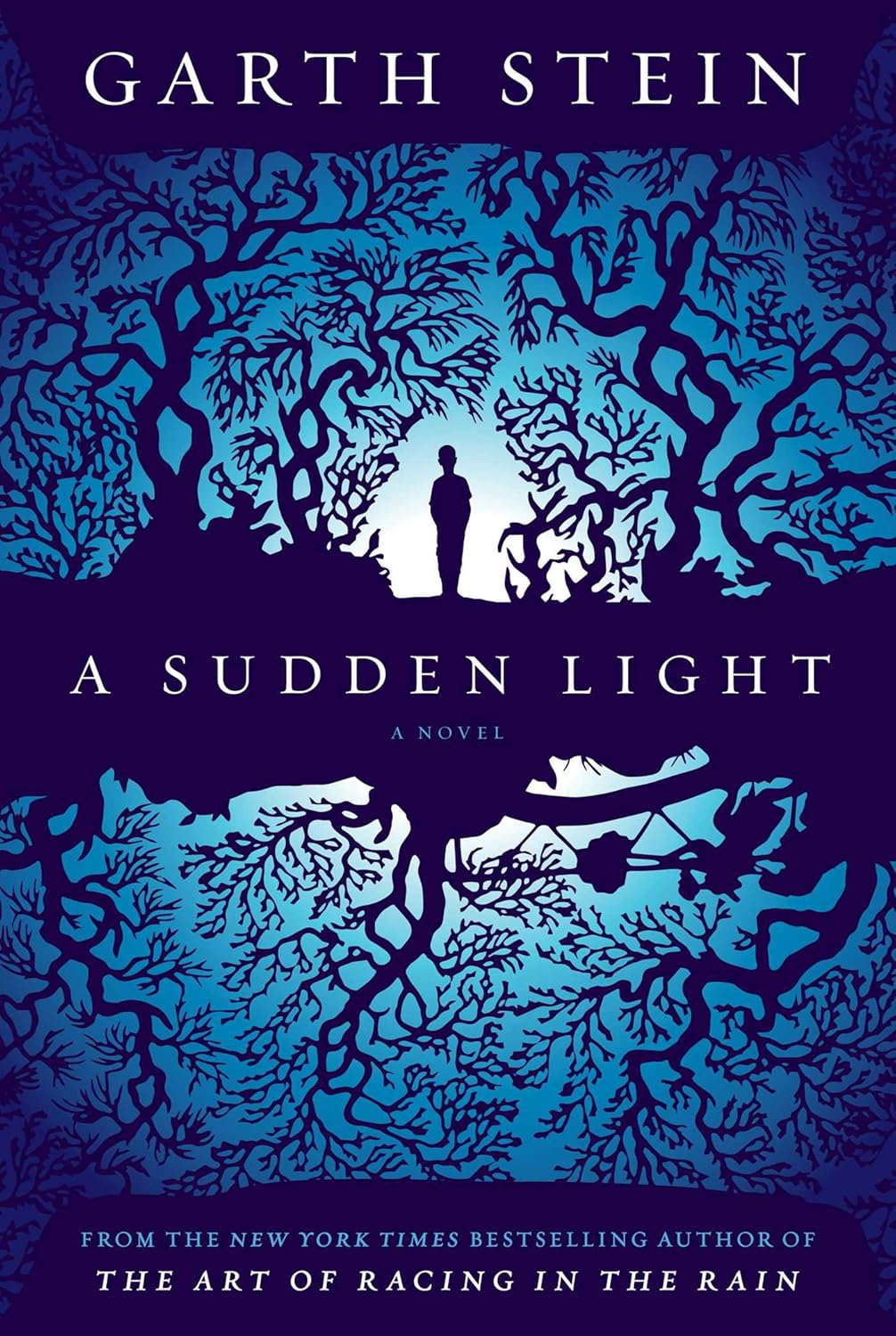 A Sudden Light: A Novel poster
