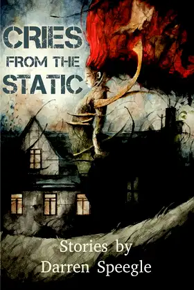 Cries from the Static poster