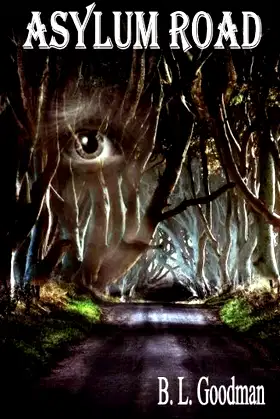 Asylum Road poster