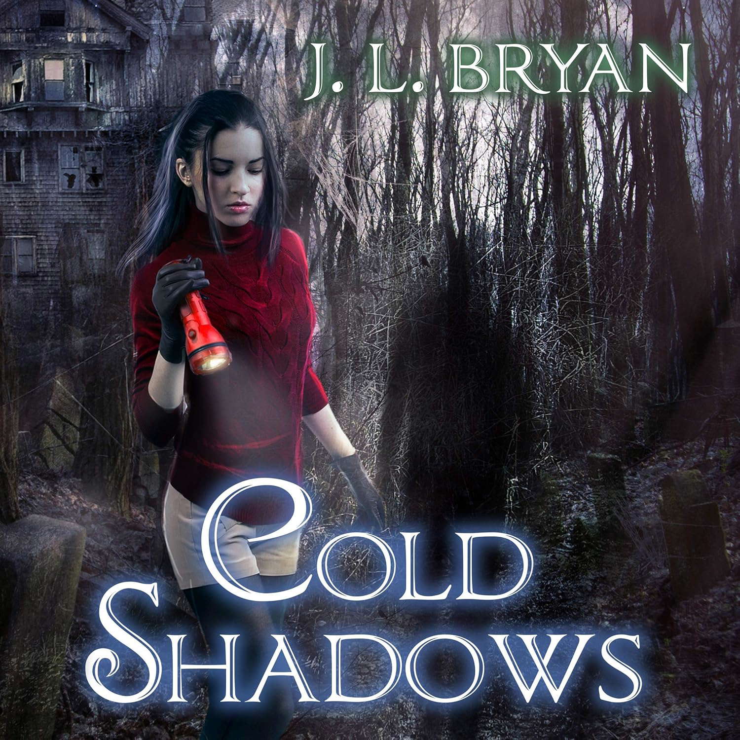 Cold Shadows (The Ellie Jordan, Ghost Trapper Series) poster