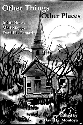 Other Things Other Places poster