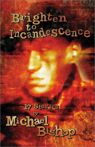Brighten to Incandescence: 17 Stories poster