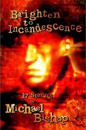 Brighten to Incandescence: 17 Stories poster