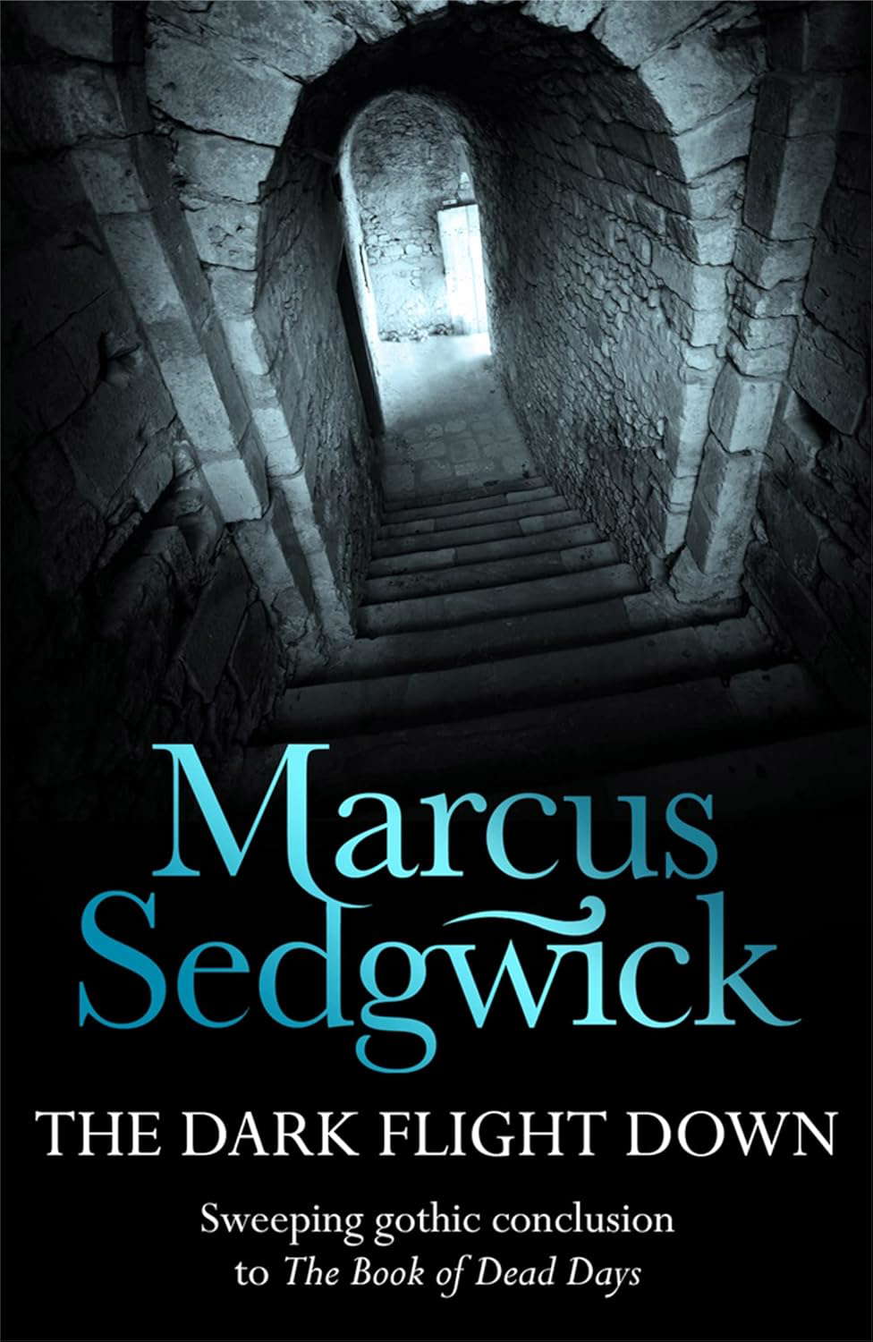 The Dark Flight Down (The Book of Dead Days - book 2) poster