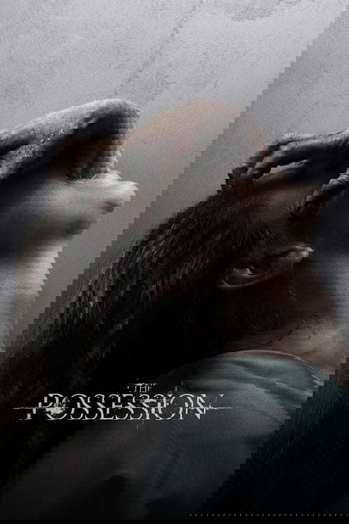 The Possession poster