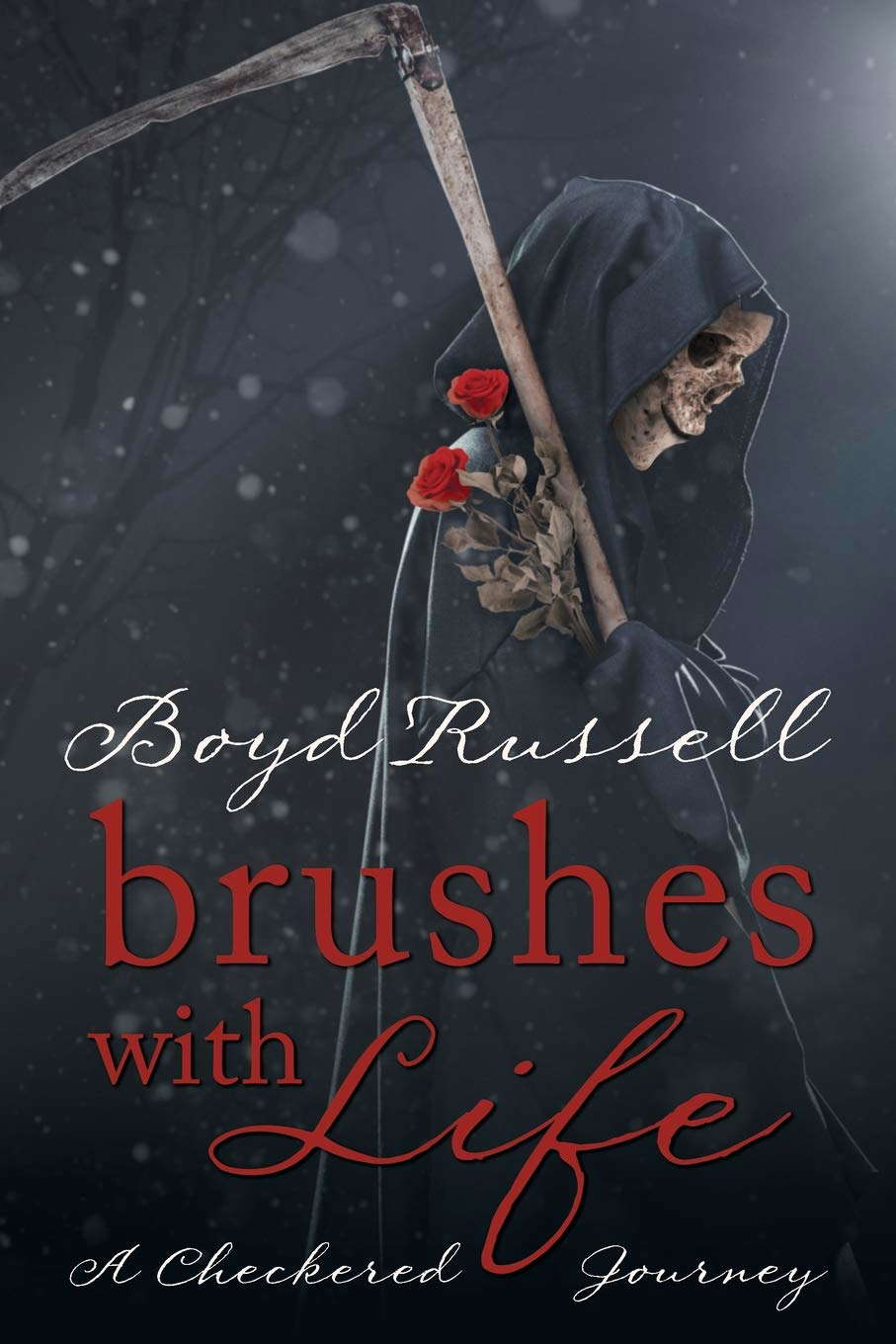 Brushes with Life: A Checkered Journey poster