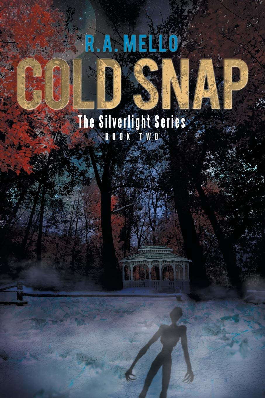 Cold Snap: The Silverlight Series Book Two (The Silverlight, 2) poster