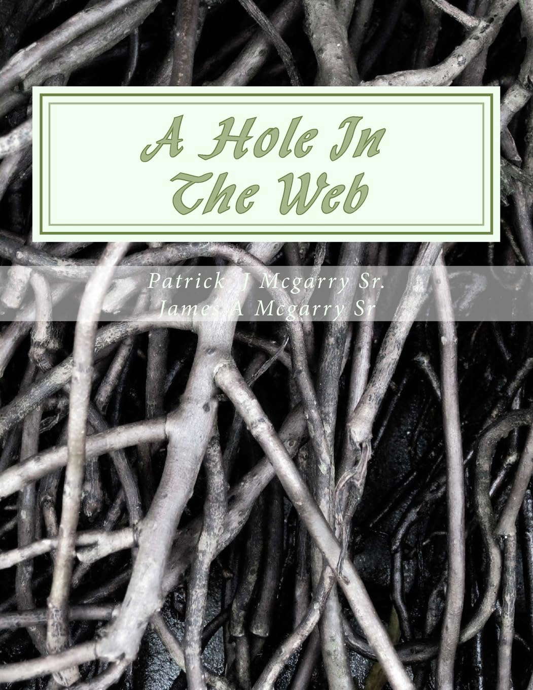 A Hole In The Web: From the mind of Visionary poster