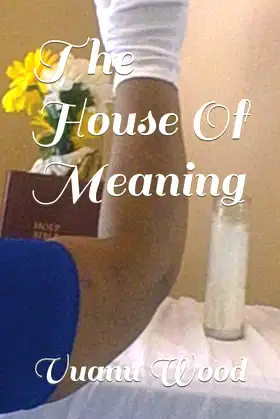 The House Of Meaning poster