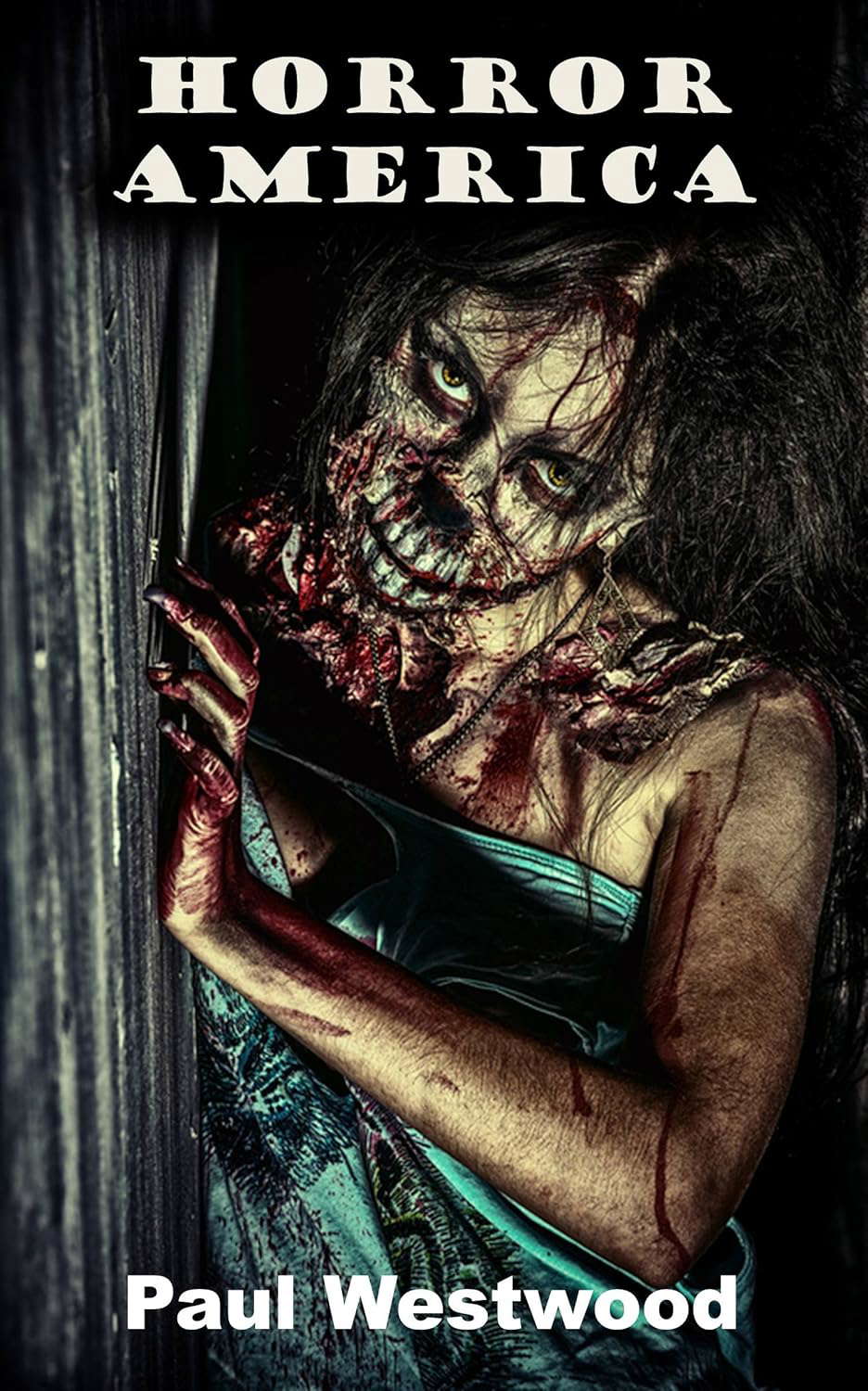 Horror America poster