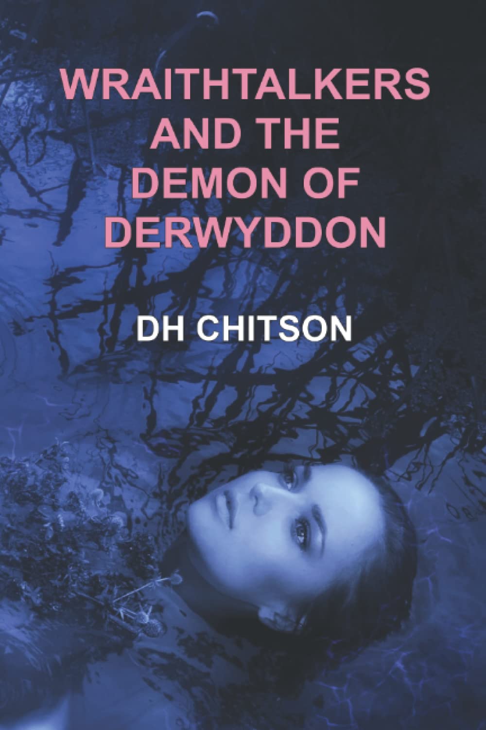 WraithTalkers and the Demon of Derwyddon poster