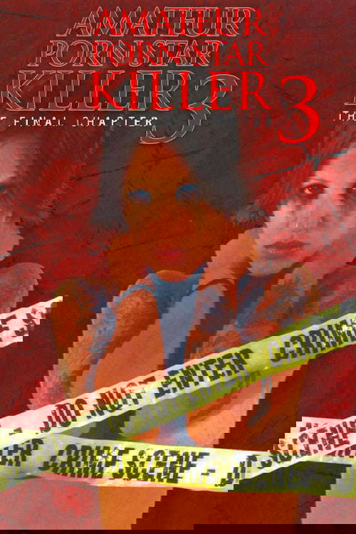 Amateur Porn Star Killer 3: The Final Chapter poster