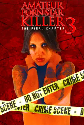 Amateur Porn Star Killer 3: The Final Chapter poster