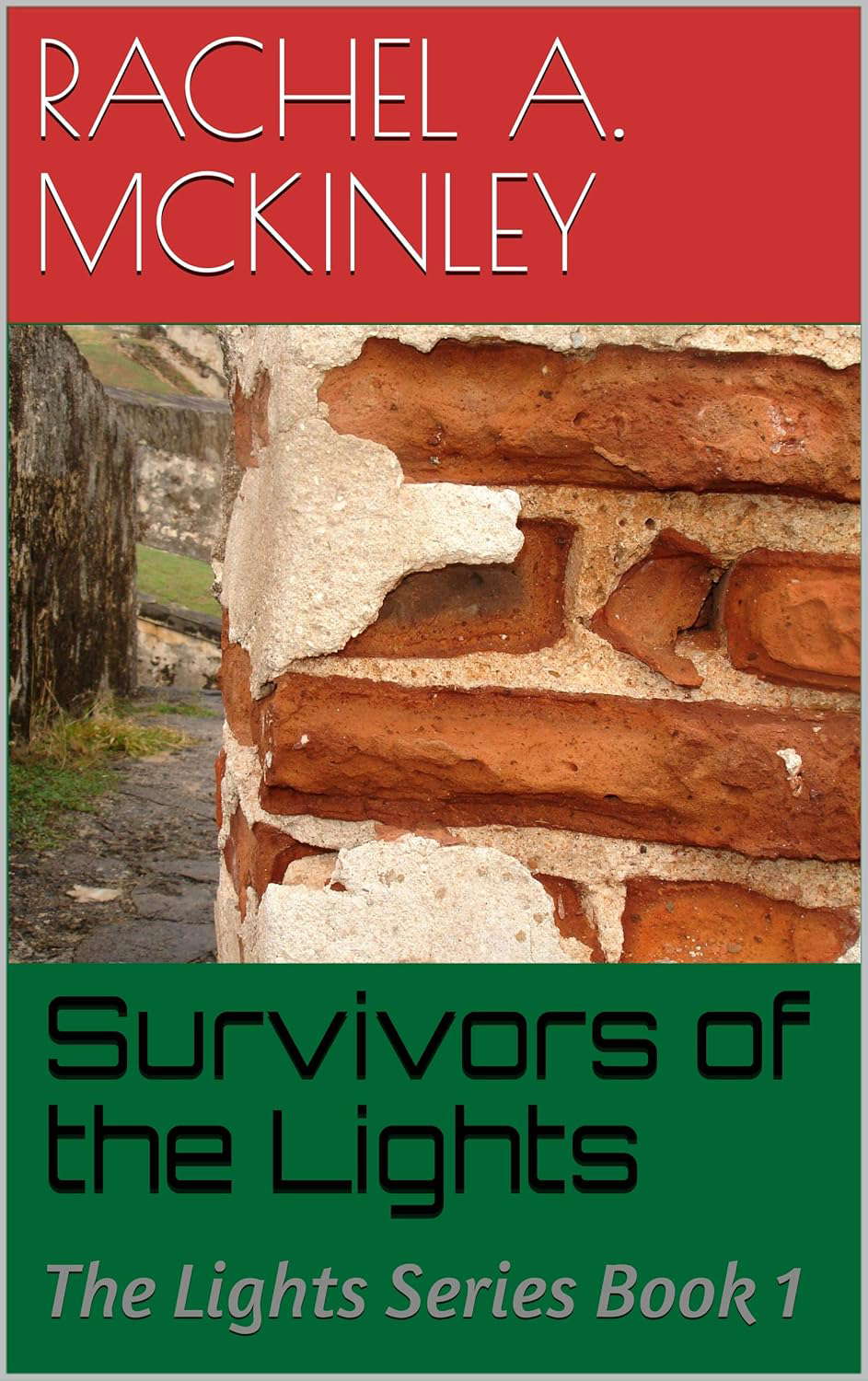 Survivors of the Lights: The Lights Series Book 1 poster