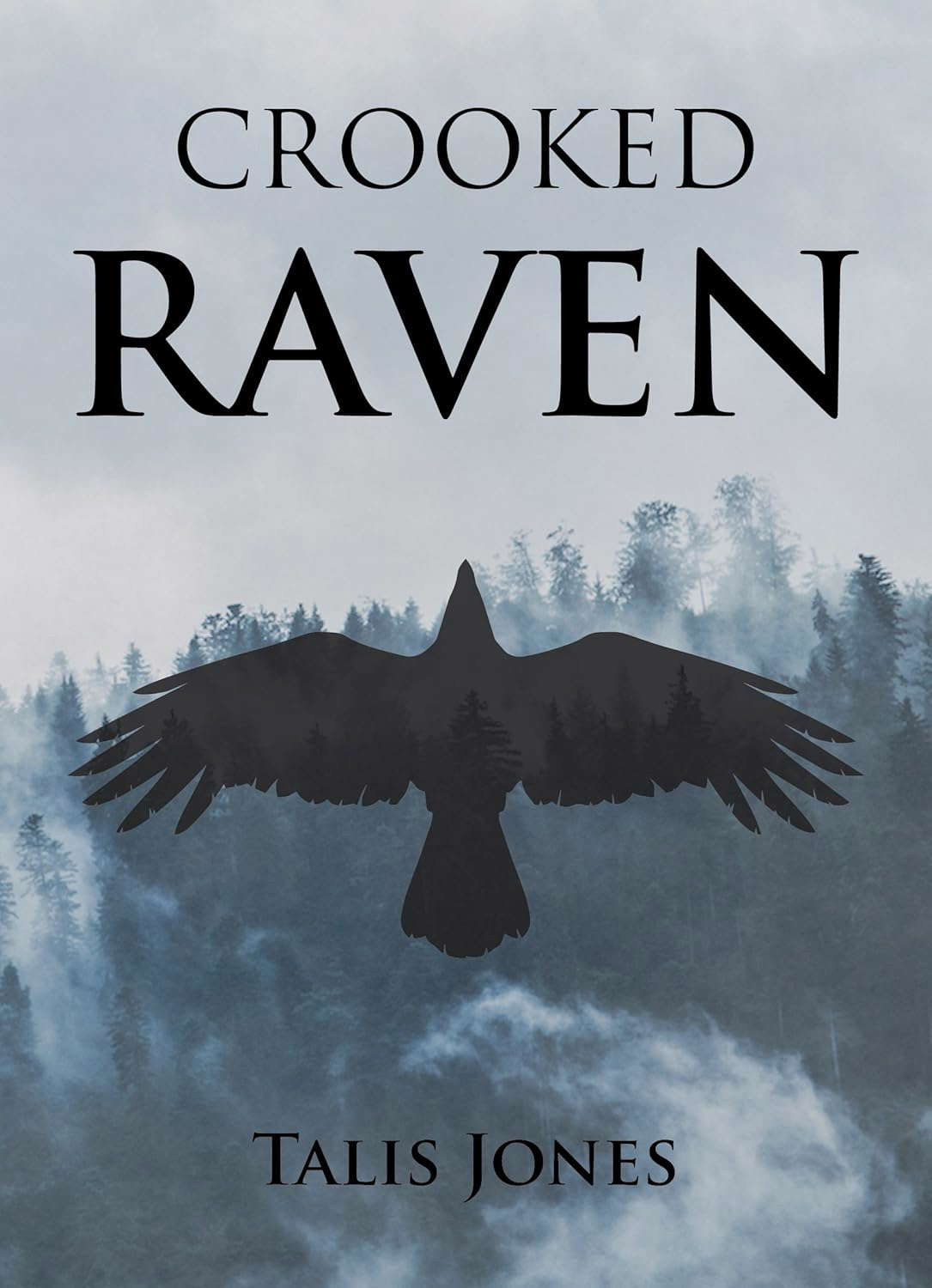 Crooked Raven (Otherworld Book 1) poster