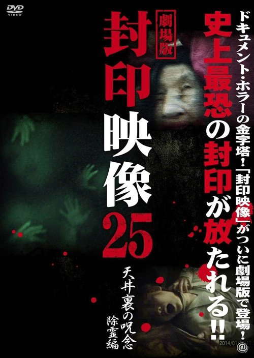 Sealed Video 25: Attic Curse Exorcism poster