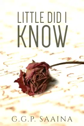 Little did I know poster