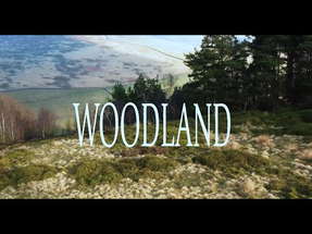 Woodland-A Short Horror poster