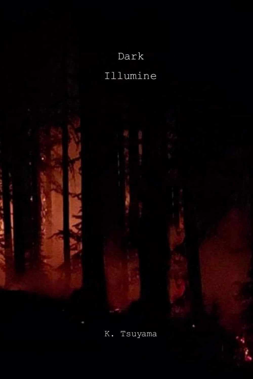 Dark Illumine (Of Bones and Demon Limbs) poster