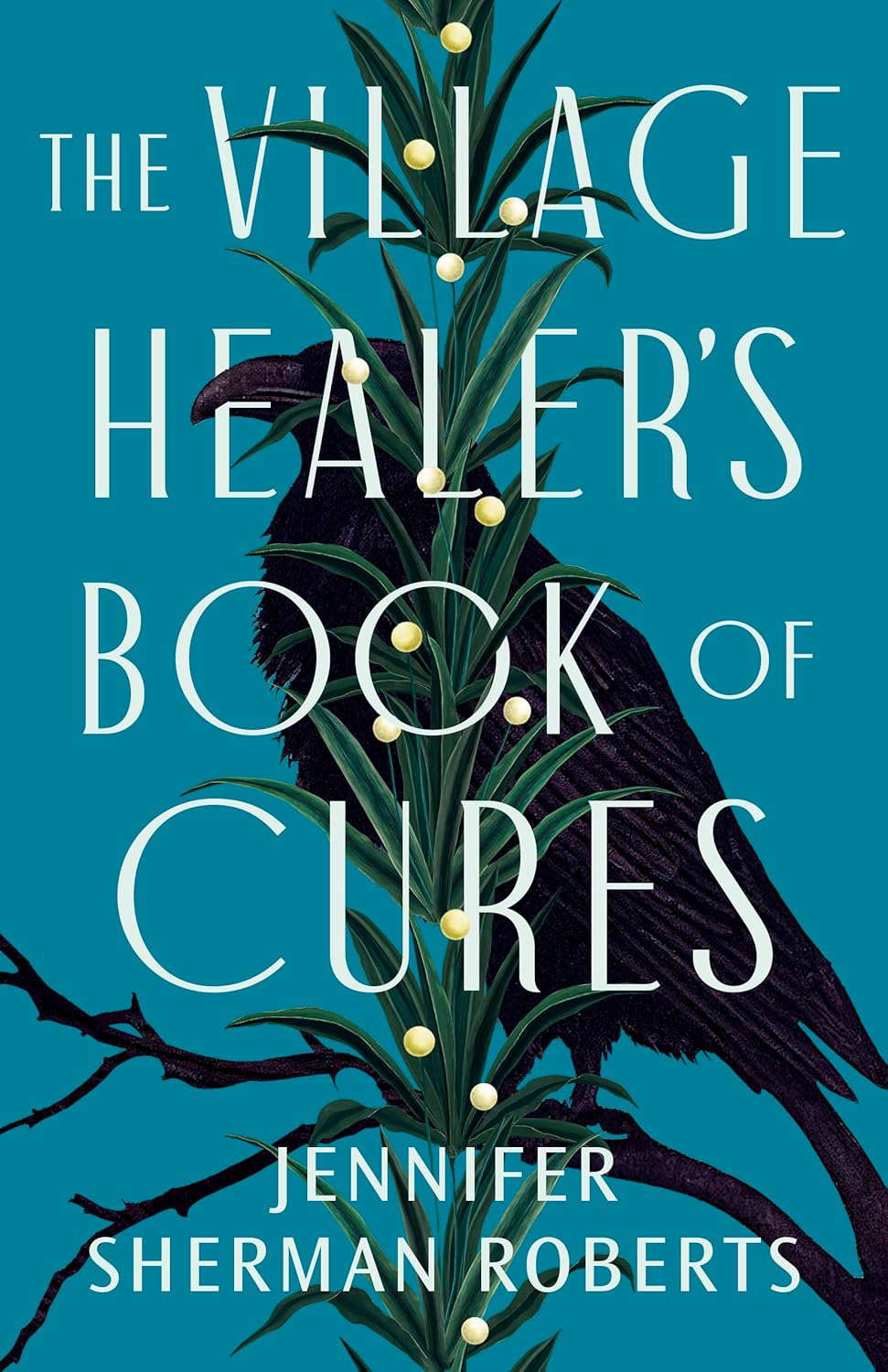 The Village Healer's Book of Cures poster