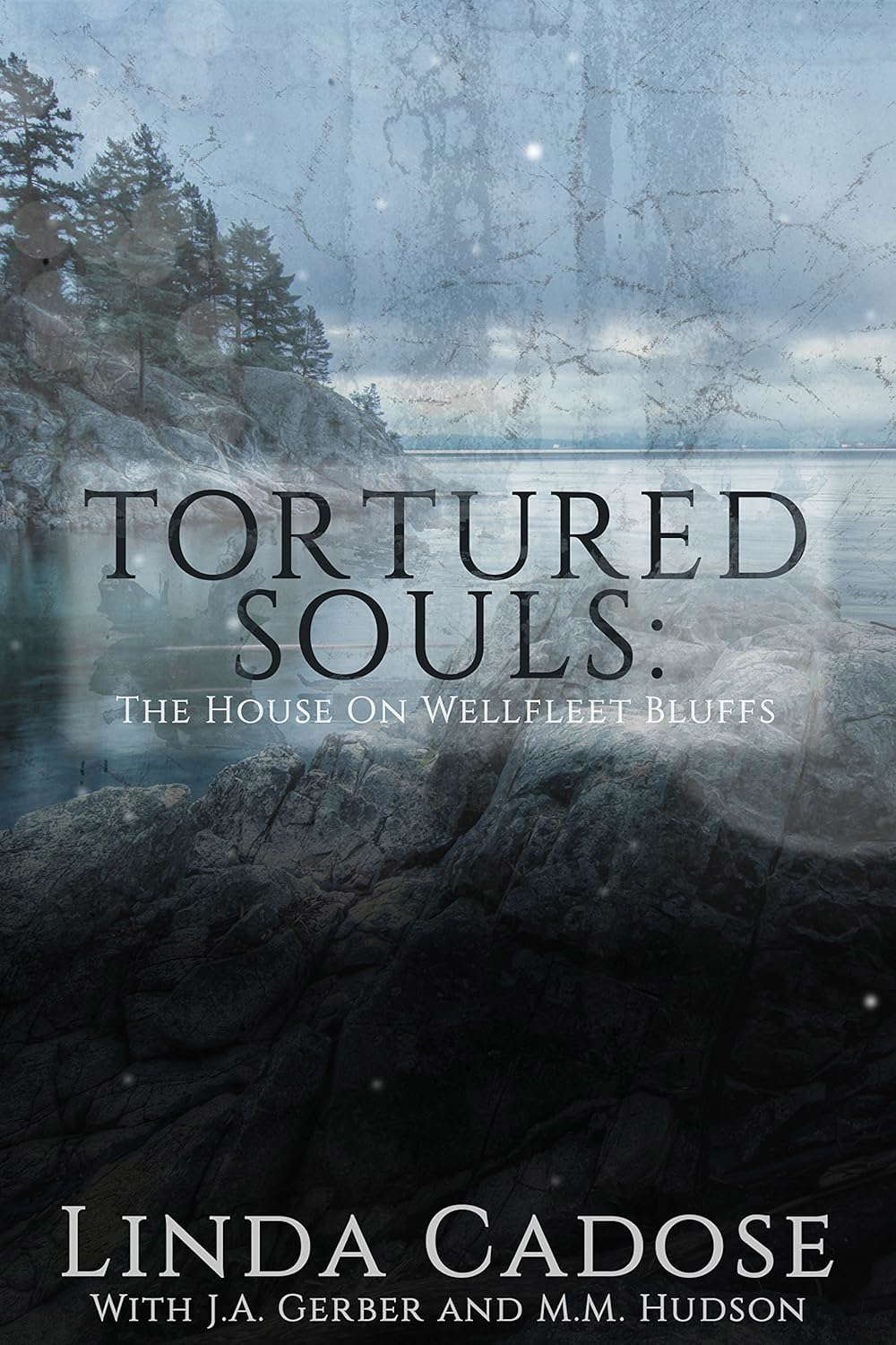 Tortured Souls: The House On Wellfleet Bluffs poster