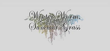 Winter Worm, Summer Grass capsule