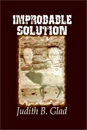 Improbable Solution poster