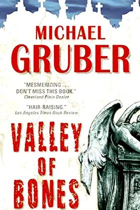 Valley of Bones poster
