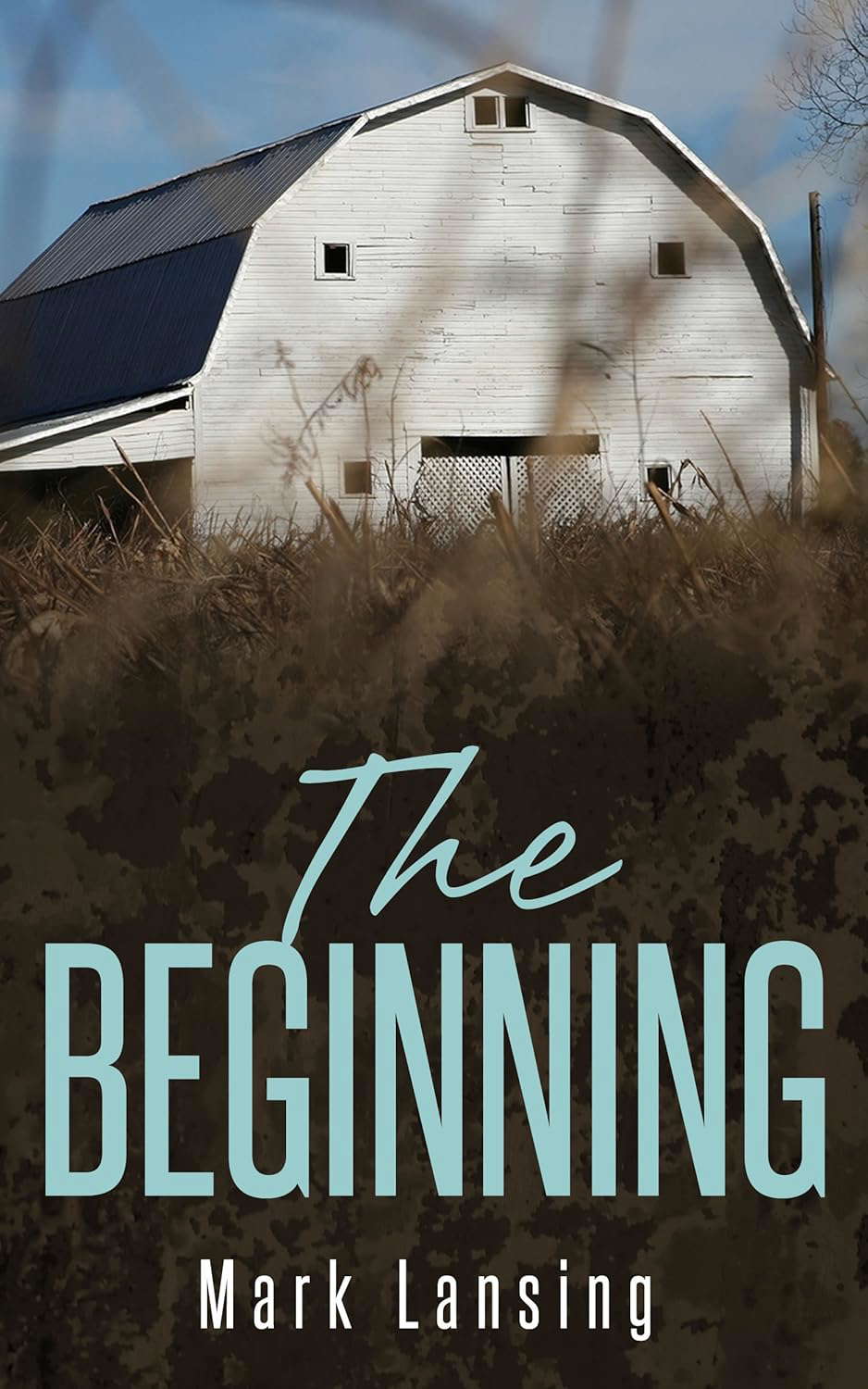 Bunker Z: The Beginning (Surviving the Apocolypse) poster