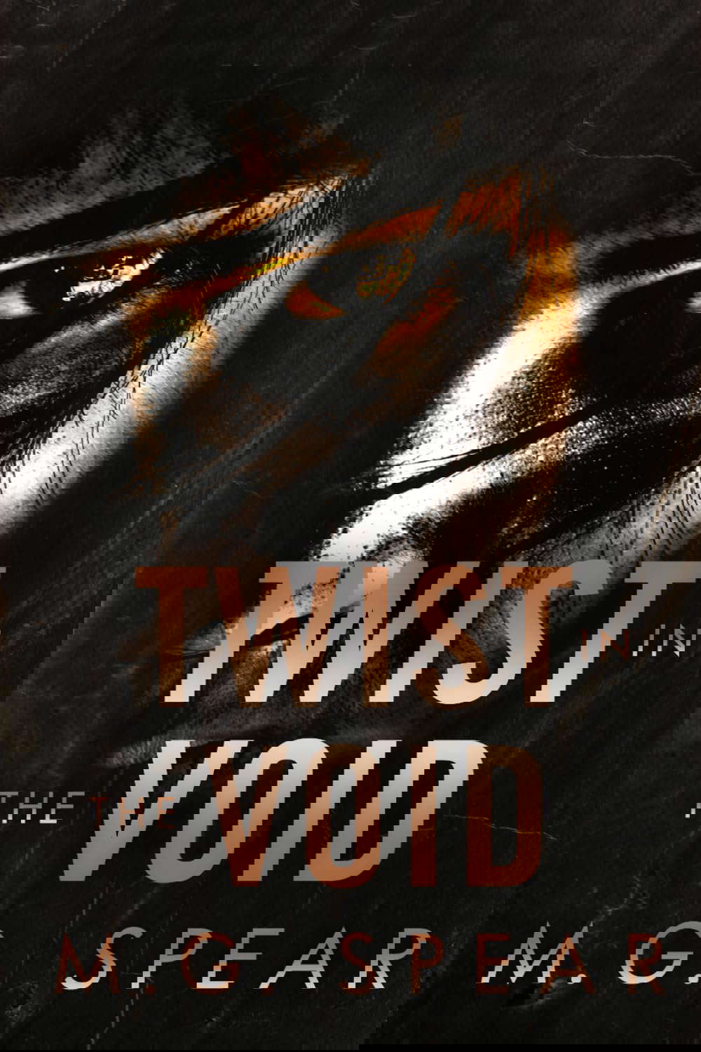 Twist in the Void: psychological horror thriller poster
