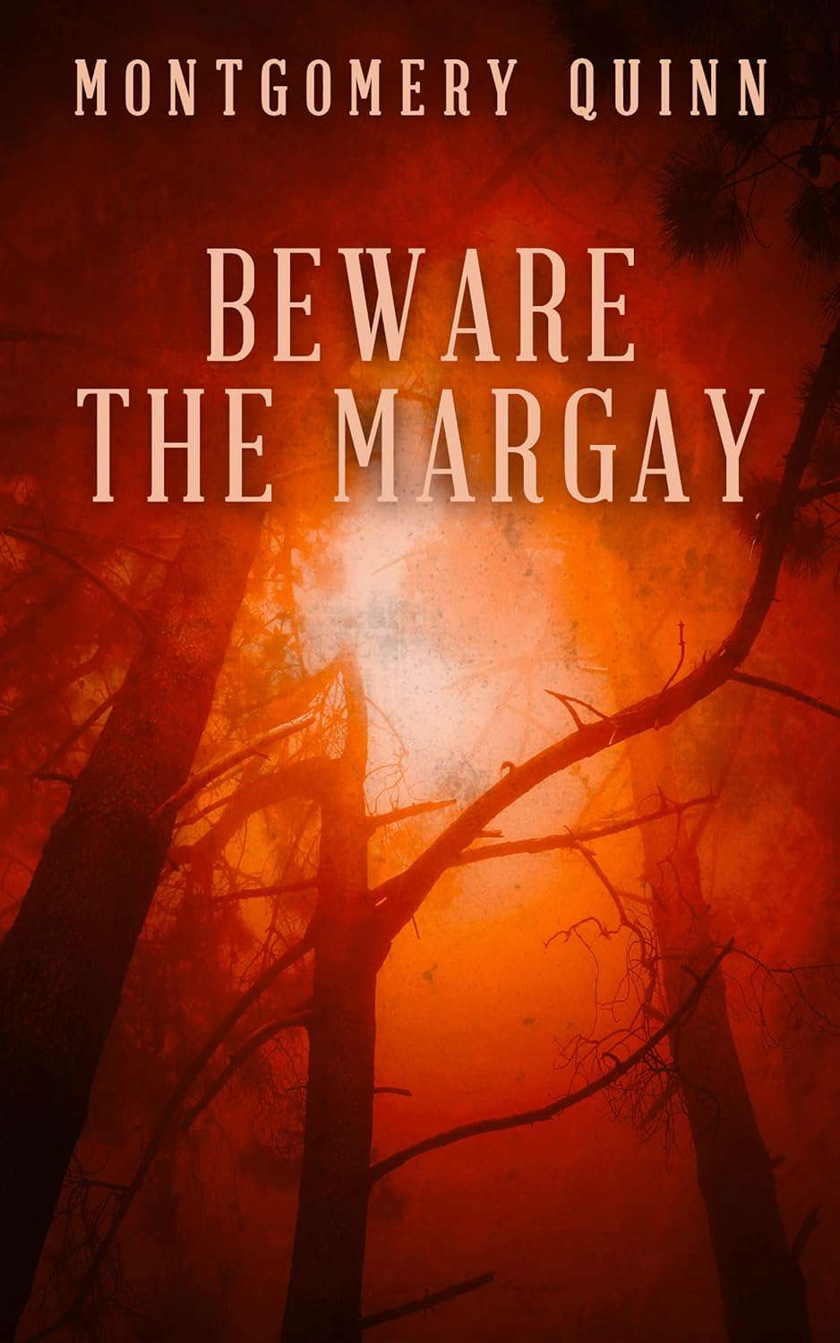 Beware The Margay poster