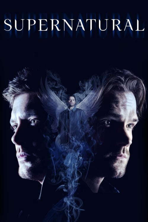 Season 14 poster