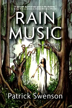 Rain Music poster