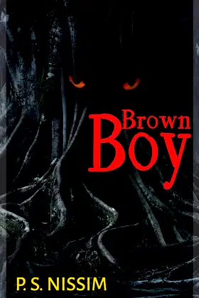 Brown Boy poster