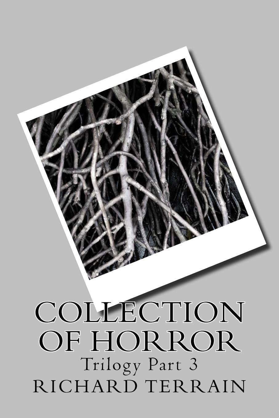 Collection of Horror: Trilogy Part 3 poster