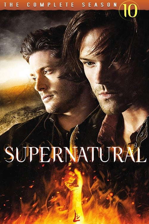 Season 10 poster