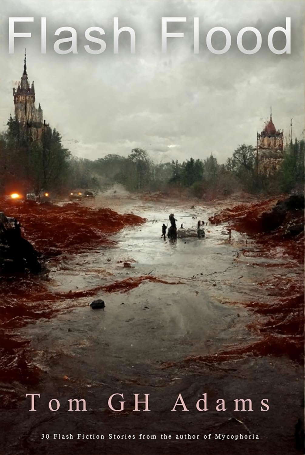 Flash Flood: 30 Flash Fiction Stories poster