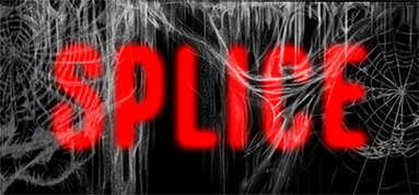 Splice capsule