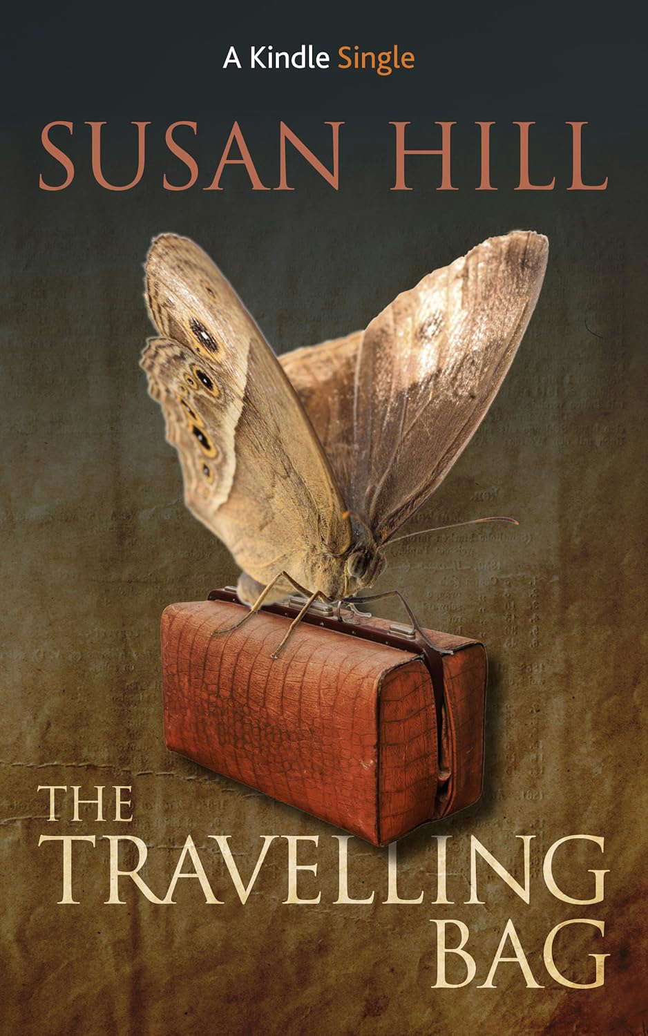The Travelling Bag (Kindle Single) poster