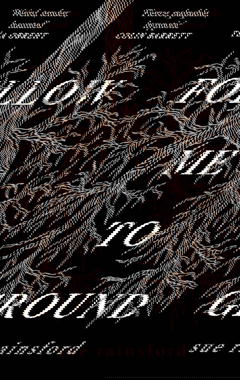 Follow Me To Ground poster