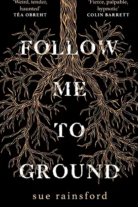 Follow Me To Ground poster
