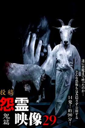 Posted Grudge Spirit Footage Vol.29: Demon Edition poster