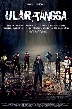 Snakes & Ladder poster