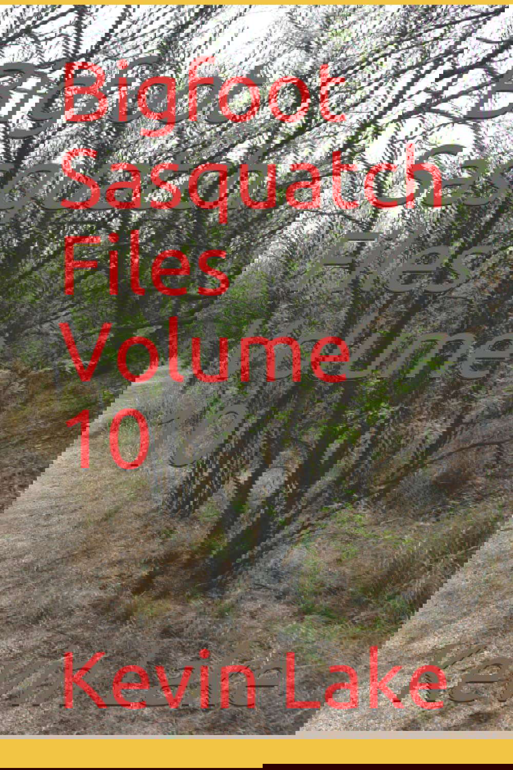 Bigfoot Sasquatch Files Volume 10 poster