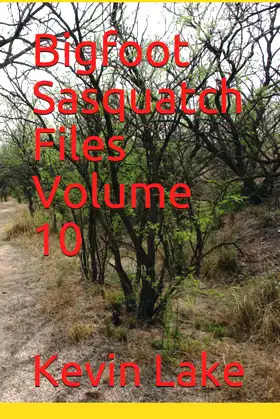 Bigfoot Sasquatch Files Volume 10 poster