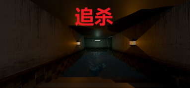 追杀 capsule